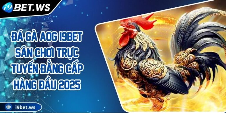 Đá Gà AOG I9BET Sân Chơi Trực Tuyến Đẳng Cấp Hàng Đầu 2025