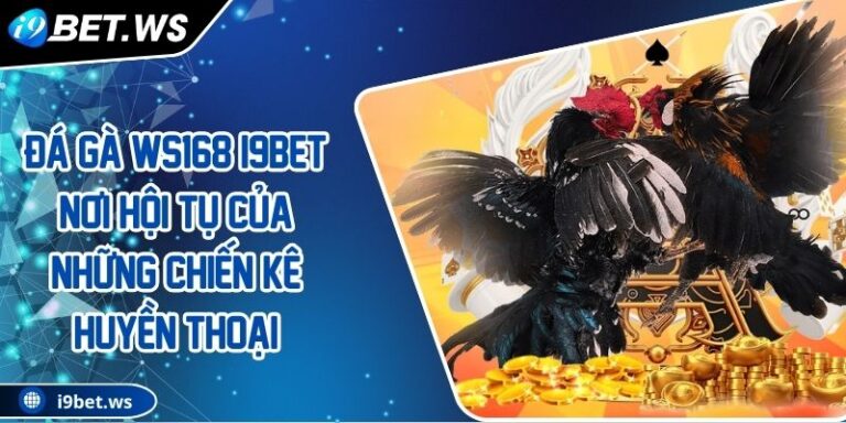Đá Gà WS168 I9BET Nơi Hội Tụ Của Những Chiến Kê Huyền Thoại