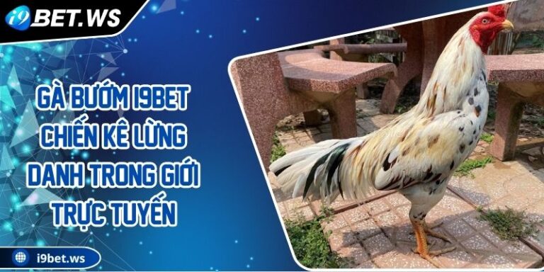 Gà bướm I9BET Chiến kê lừng danh trong giới trực tuyến
