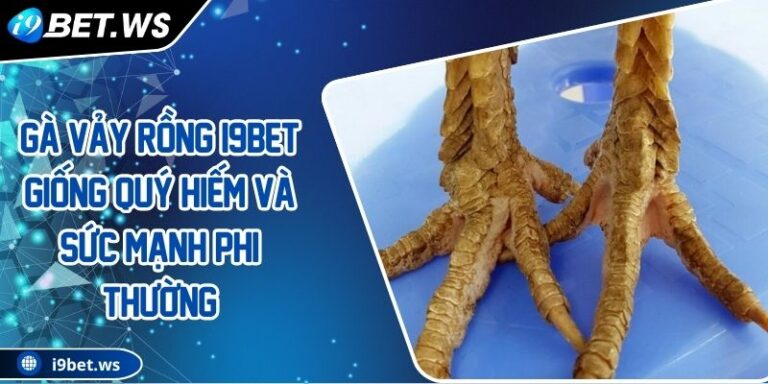 Gà Vảy Rồng I9BET Giống Quý Hiếm Và Sức Mạnh Phi Thường 1 Gà Vảy Rồng I9BET Giống Quý Hiếm Và Sức Mạnh Phi Thường