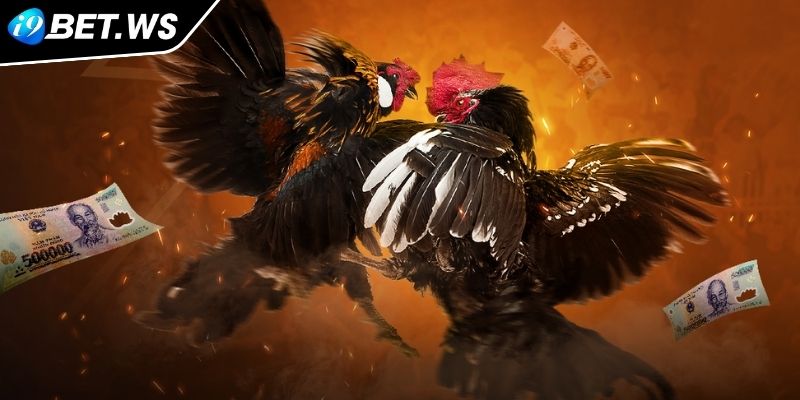 Đá Gà WS168 I9BET Nơi Hội Tụ Của Những Chiến Kê Huyền Thoại 2 Giao diện thân thiện và dễ sử dụng